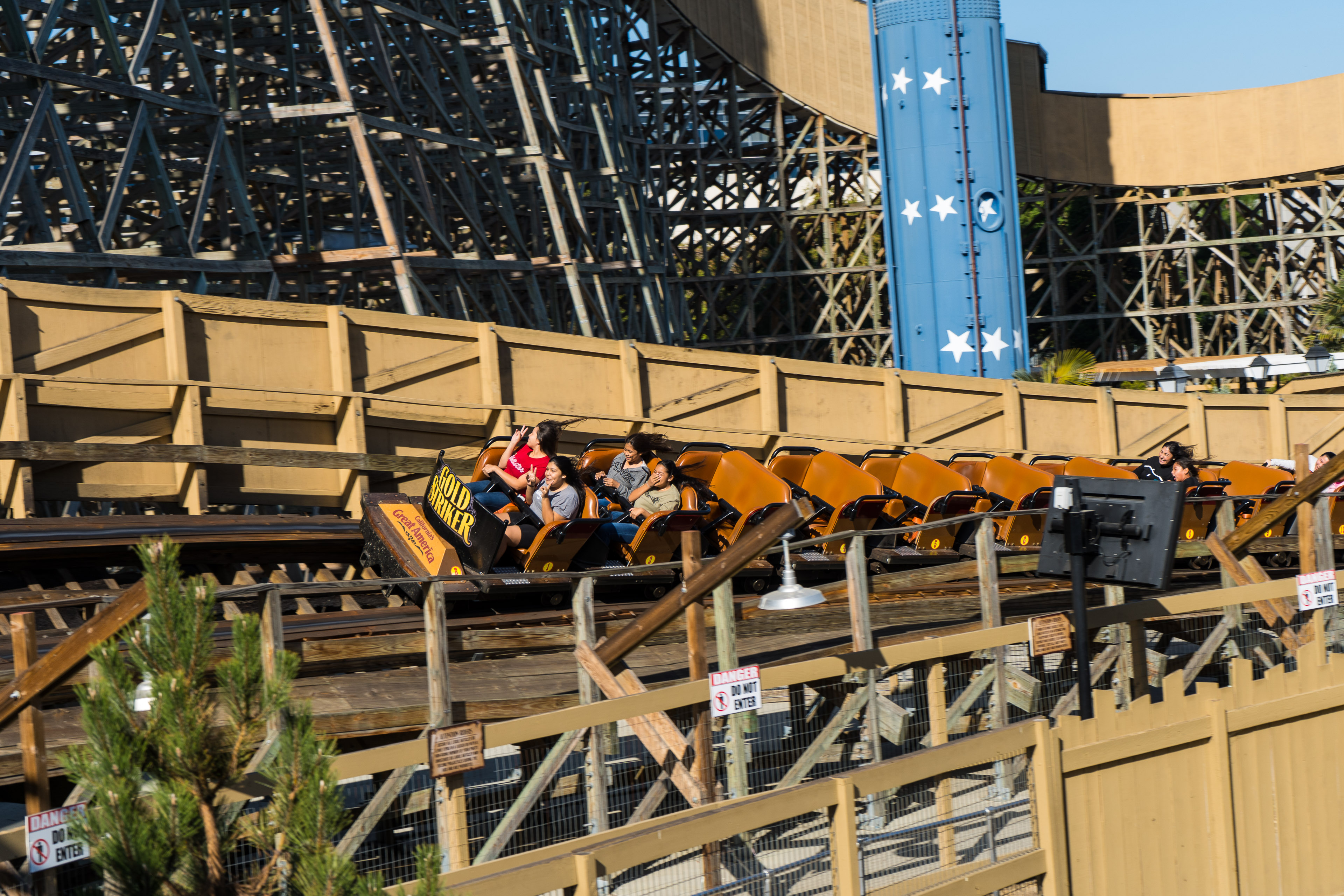 Gold Striker