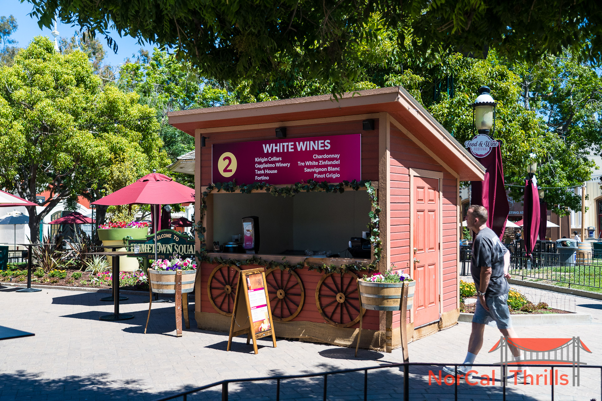 Food And Wine Festival