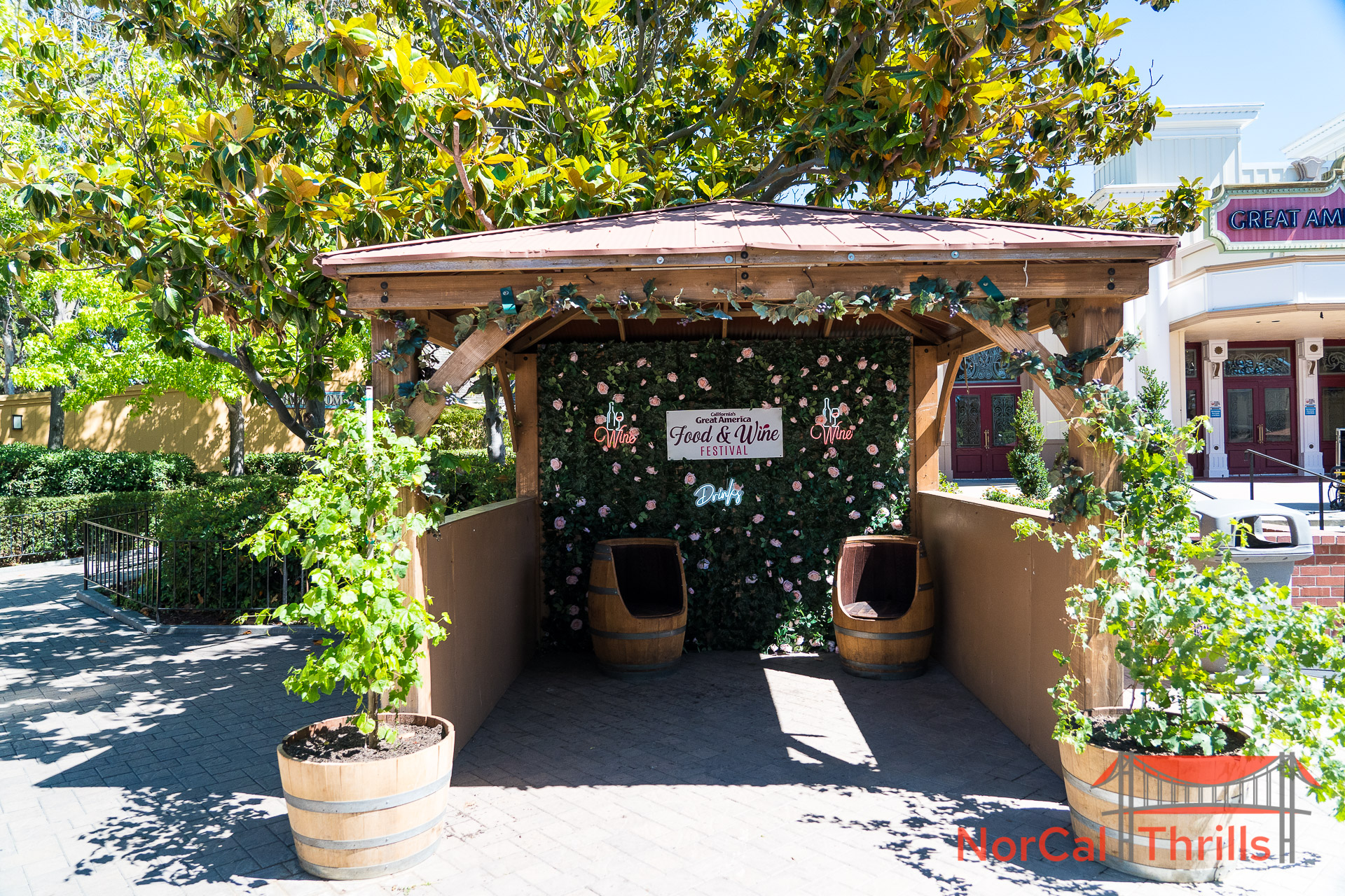 Food And Wine Festival