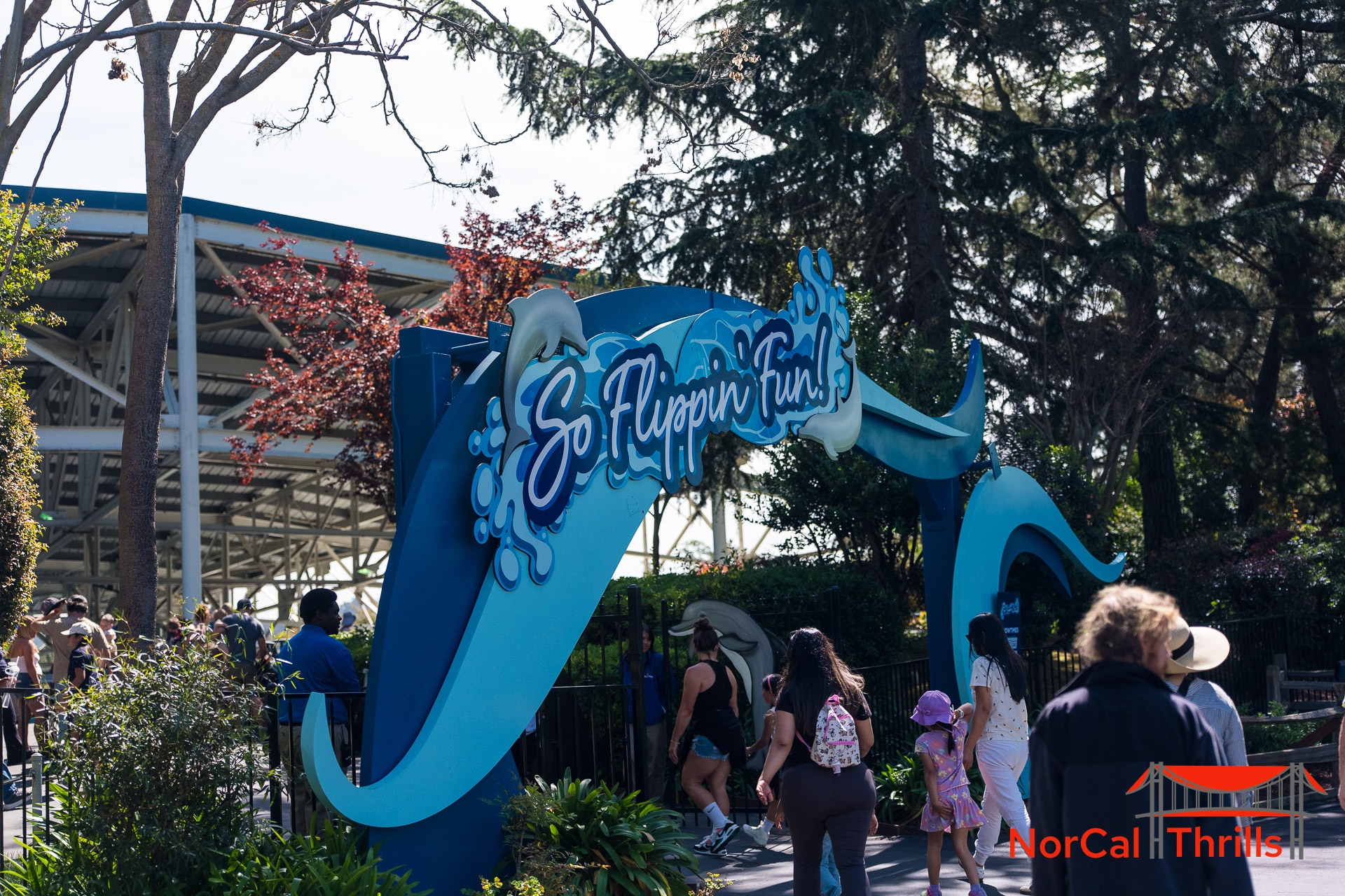 New "So Flippin Fun" Show