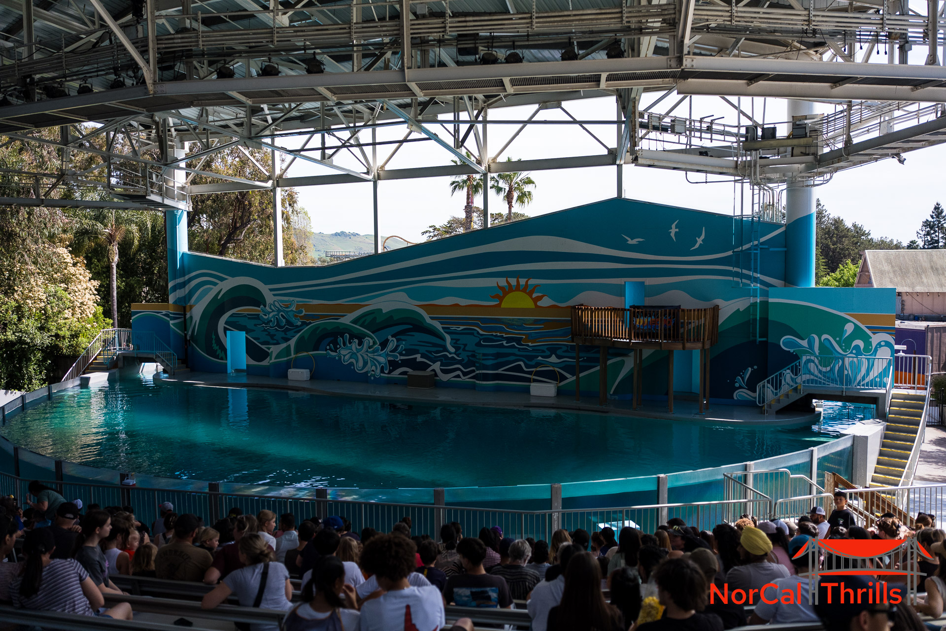 New "So Flippin Fun" Show