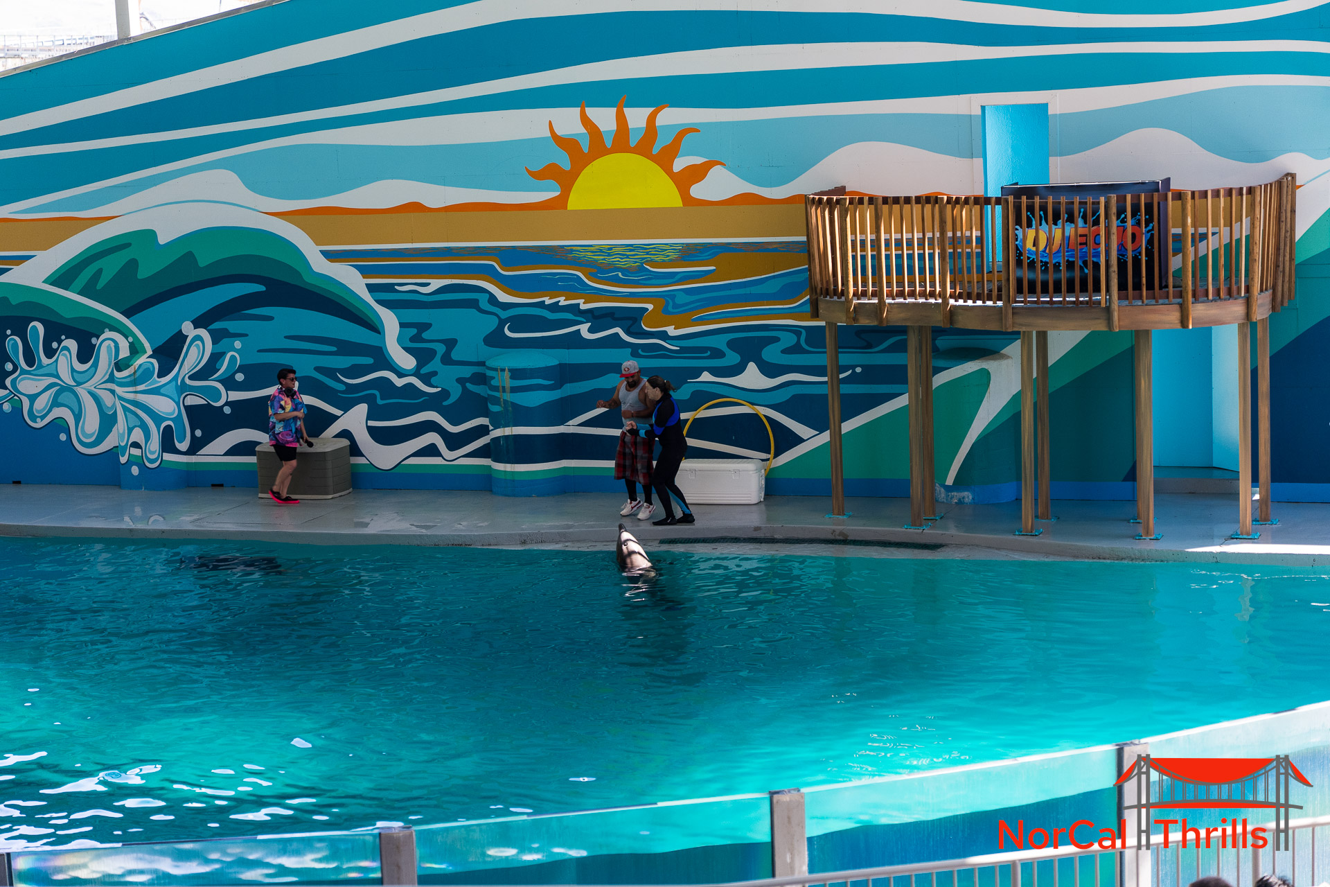 New "So Flippin Fun" Show