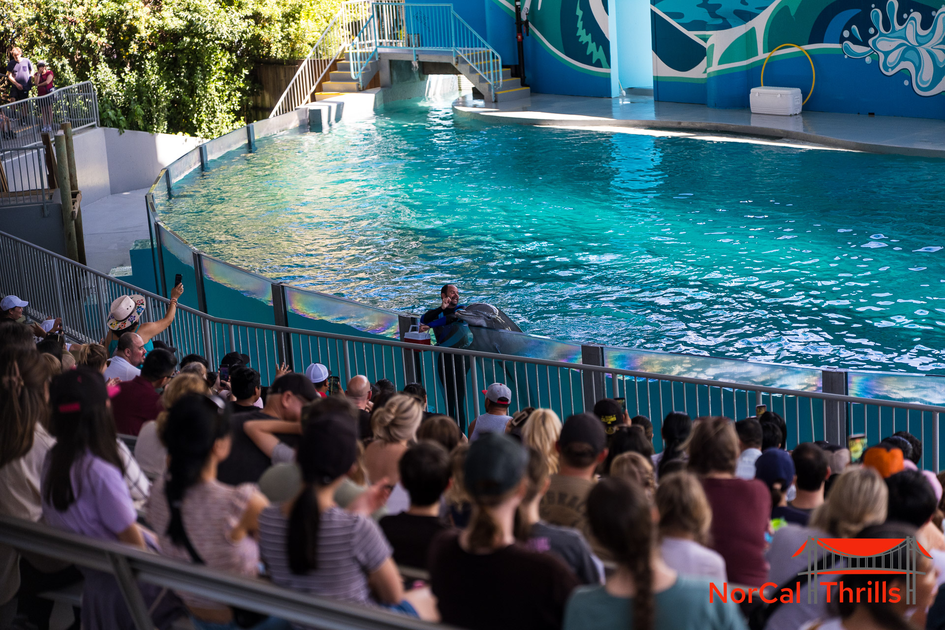 New "So Flippin Fun" Show