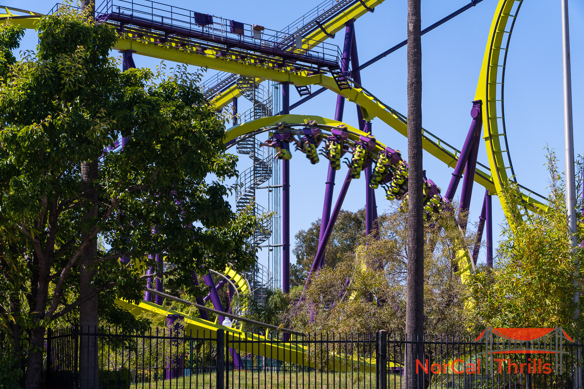 Medusa Is Open Again!