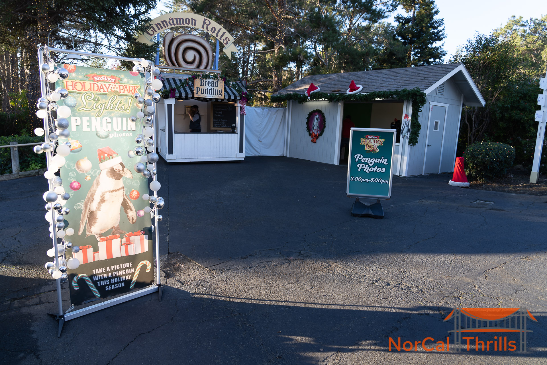 Holiday in the Park