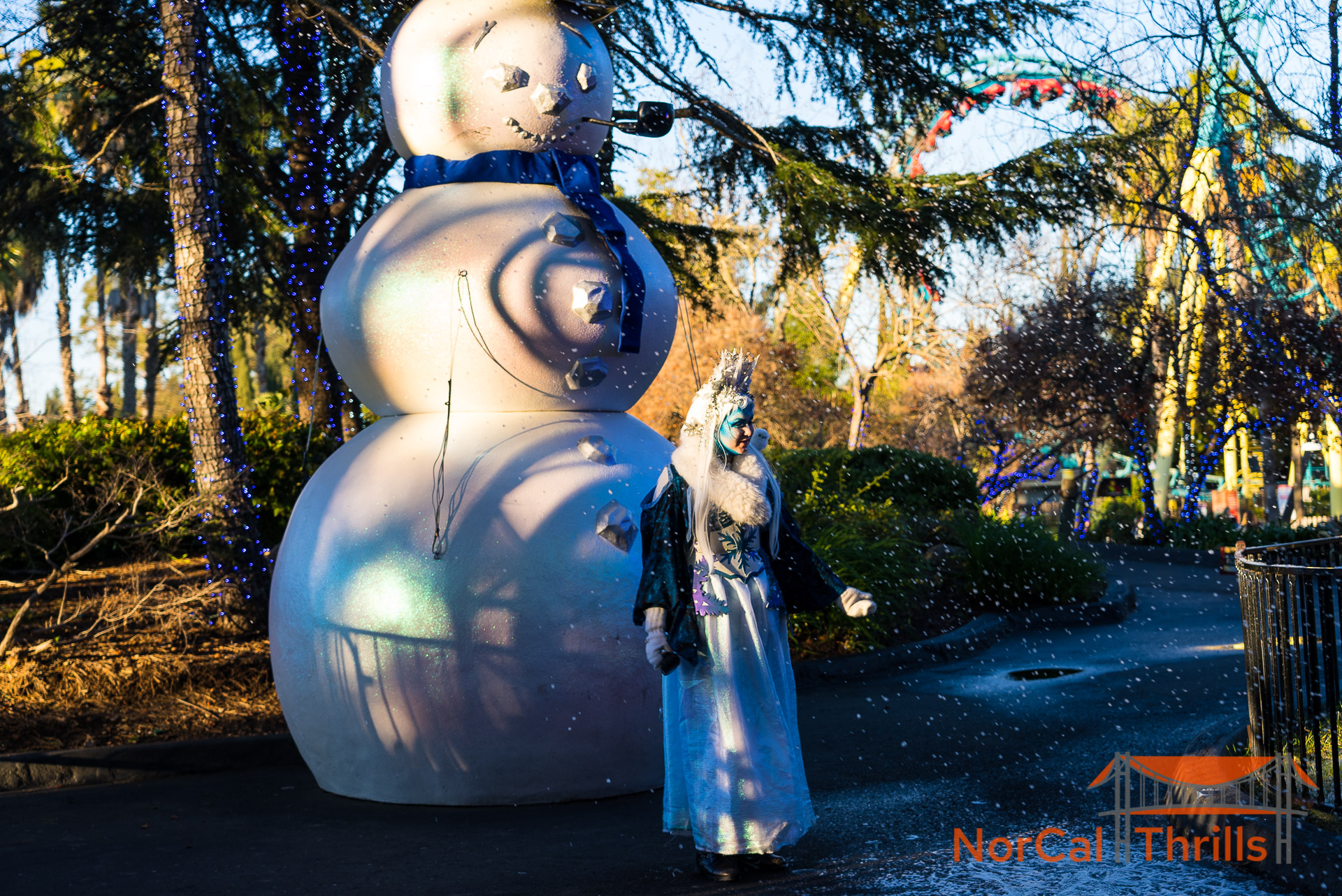 Holiday in the Park
