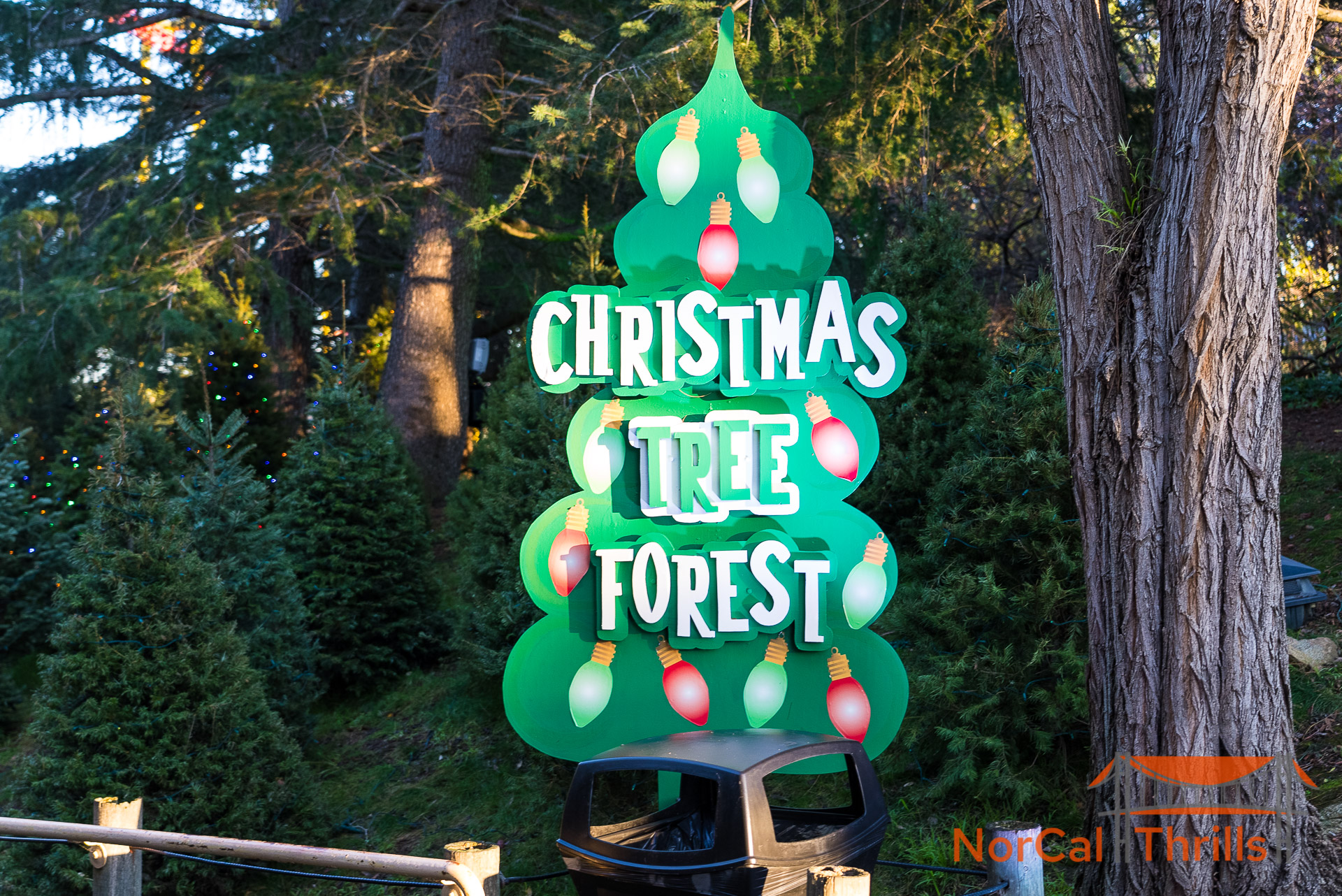 Holiday in the Park