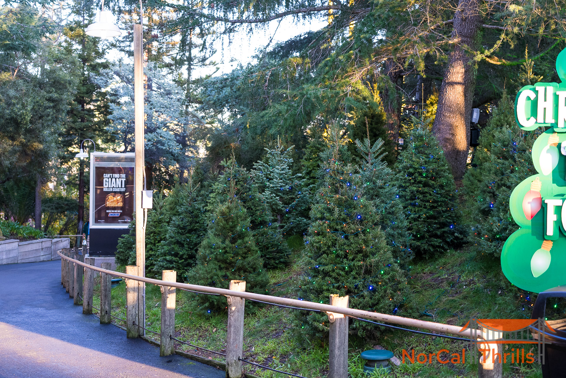 Holiday in the Park