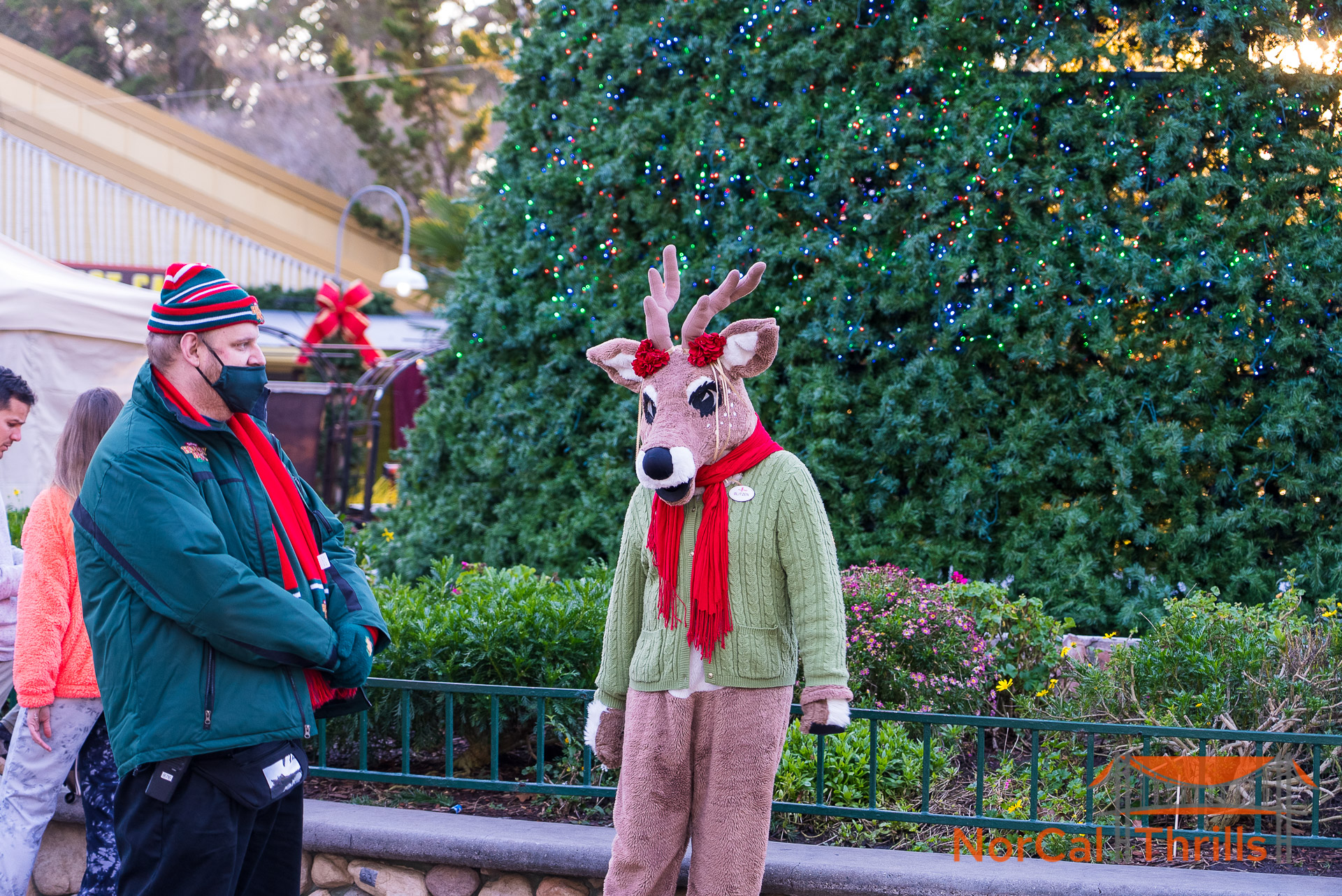 Holiday in the Park