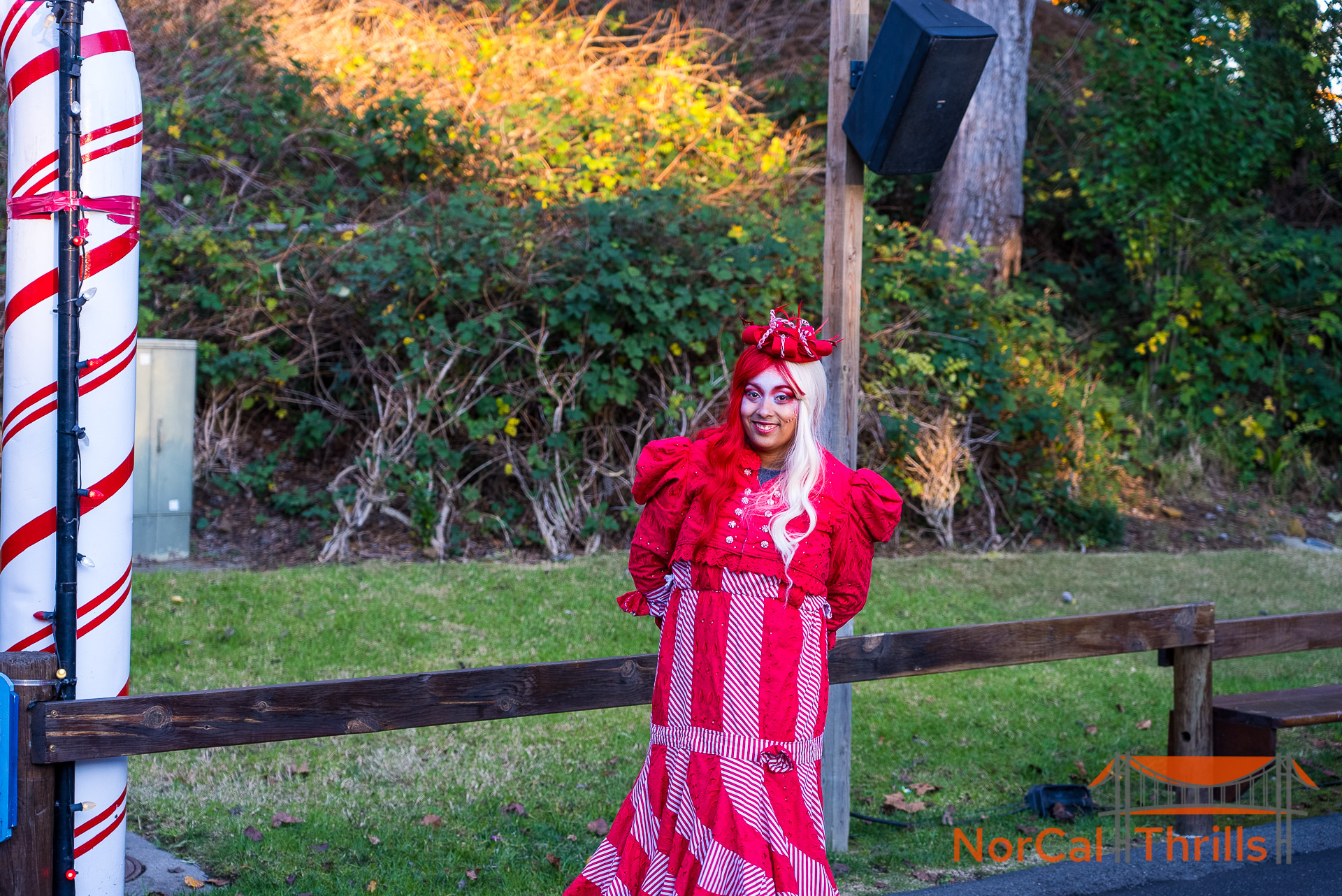 Holiday in the Park
