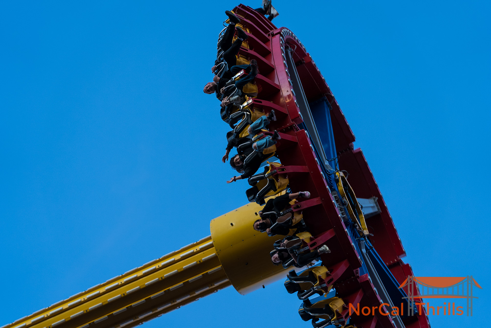 Animals and Rides