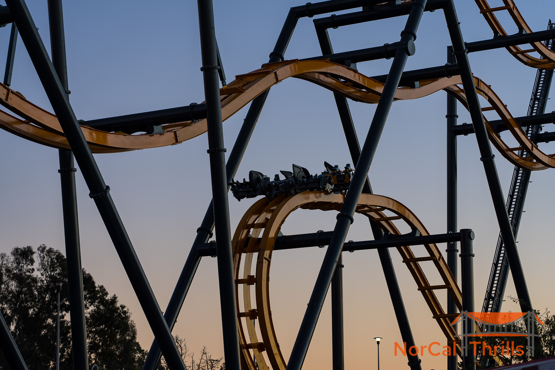 Animals and Rides