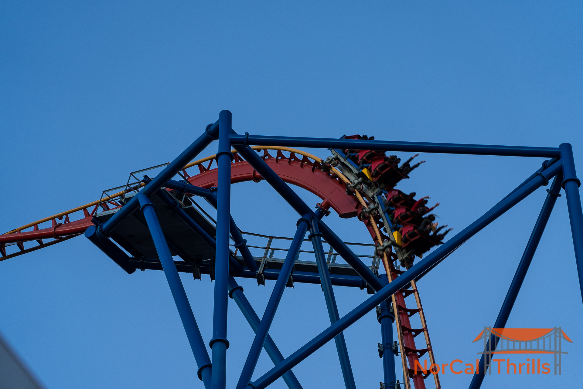 Animals and Rides